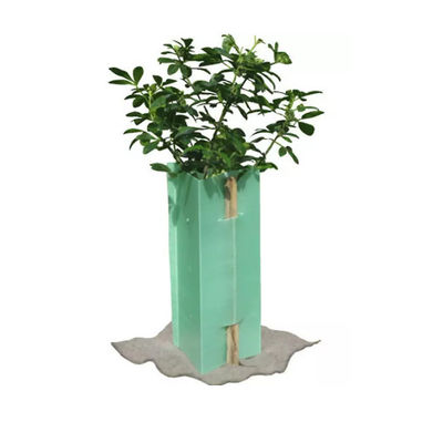 De Boomwachten Bunnings van driehoekscorflute 5mm Plastic de Boombeschermers van Coroplast