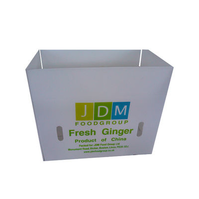 Maak de 5mm Golf Plastic Opnieuw te gebruiken Golf Plastic Dozen van Opslagbakken pp waterdicht