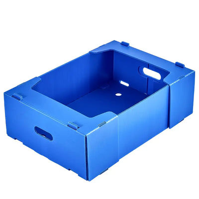Het Vervoer van de fruitopslag plooide de Doos van de het Fruitverpakking van het Plastic Doospolypropyleen