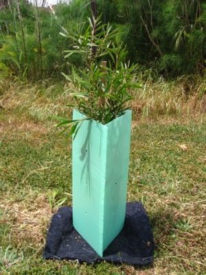 De pp Golf Plastic Wachten van Corflute Sustainable Tree van de Boomwacht