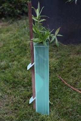 De pp Golf Plastic Wachten van Corflute Sustainable Tree van de Boomwacht