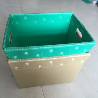 4.5mm 5.5mm Golf Plastic de Vissenpp Golfbak van de Verpakkingsdoos