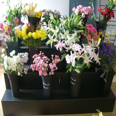 Het zwarte van de de Vertoningstribune pp 4 van Corflute Bloemen van de de Stapbloem Materiaal van de de Winkelvertoning