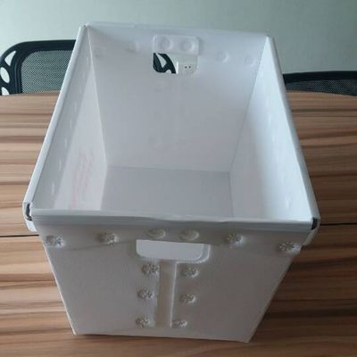 Posttotalisators Golf Plastic de Omzetdoos 3mm van pp Coroplast