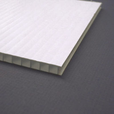 Kleurrijke Plastic Bladen 4mm van Corflute Golf Plastic Raad
