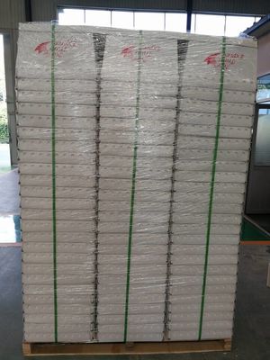 Witte Polypropyleen Golf Plastic Posttotalisators met Staalriem