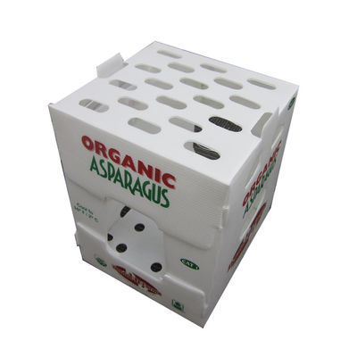 Maak de 5mm Golf Plastic Opnieuw te gebruiken Golf Plastic Dozen van Opslagbakken pp waterdicht