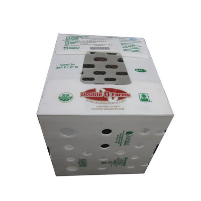 Dozen 3mm van douanecoroplast 5mm Eco Vriendschappelijke Golf Plastic Posttotalisator