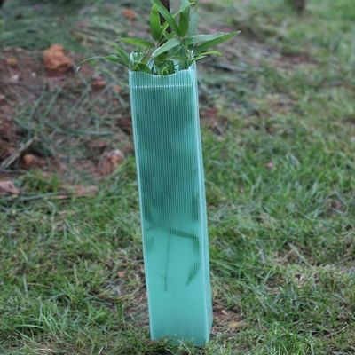 Corflute Golf Plastic Boomomslag 2mm Harde Plastic Boomwachten