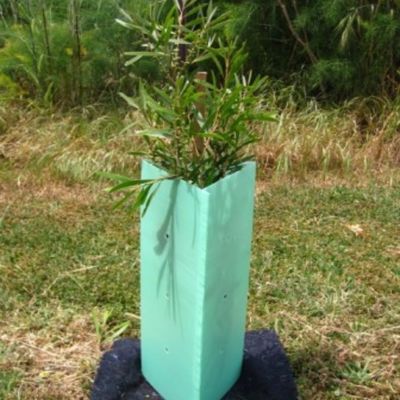 Corflute Golf Plastic Boomomslag 2mm Harde Plastic Boomwachten
