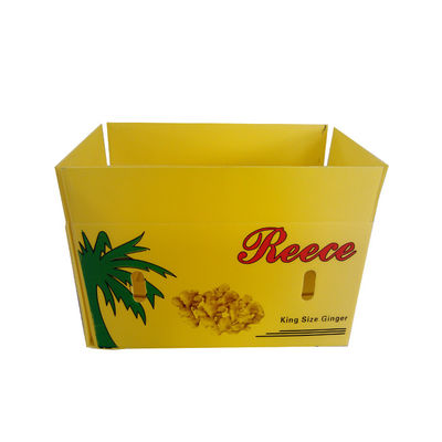 Pp plooiden Plantaardige Verpakkende Doos 5mm Plantaardige Golfdozen