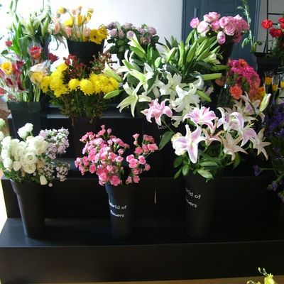 De zwarte Bloemen de Vertoningstribune pp van Coroplast plooide Plastic Duurzame Stap 4