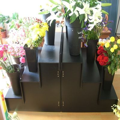 10mm Corflute van de Vertoningstribunes van de Huwelijksbloem Chemische Bestand