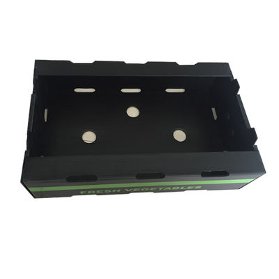 Anticorrosive Golf Plastic van het Fruitcoroplast van de Verpakkingsdoos Plantaardige Verschepende Dozen
