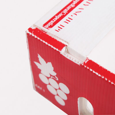 Het Kartondozen Coroplast Kiwi Fruit Packing Box van het Corfluteverse product