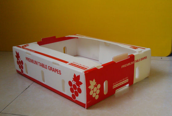 Het Kartondozen Coroplast Kiwi Fruit Packing Box van het Corfluteverse product