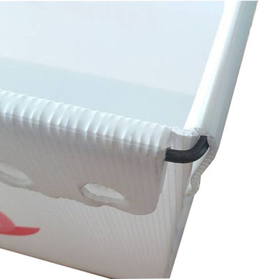 Maak Golf Plastic Posttotalisator 4mm 5mm Coroplast waterdicht