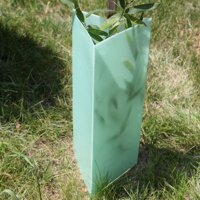Driehoek Golf Plastic Boomwachten 2mm Corflute-Installatiewachten