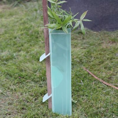 Holle van de Boomwachten van pp Corflute van de Driehoekstwinwall Plastic de Boomomslag