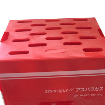 Klitbandpp Holle Doos 5mm Golf Plastic de Omzetrood van de Verpakkingsdoos