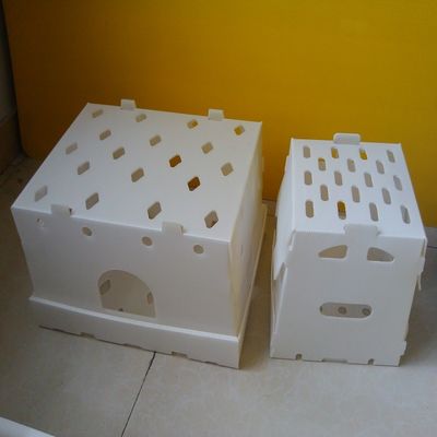 De omzet pp plooide de Opslagdozen van Plastic Doos Holle Corflute