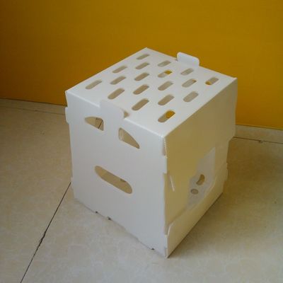 De omzet pp plooide de Opslagdozen van Plastic Doos Holle Corflute