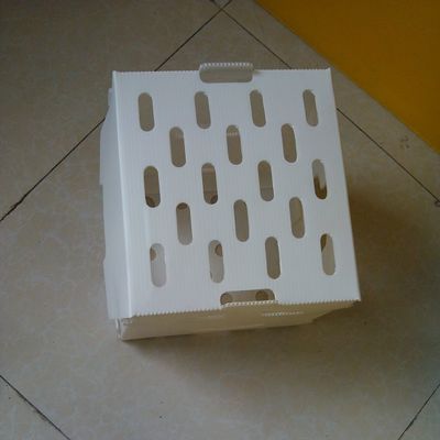 De omzet pp plooide de Opslagdozen van Plastic Doos Holle Corflute