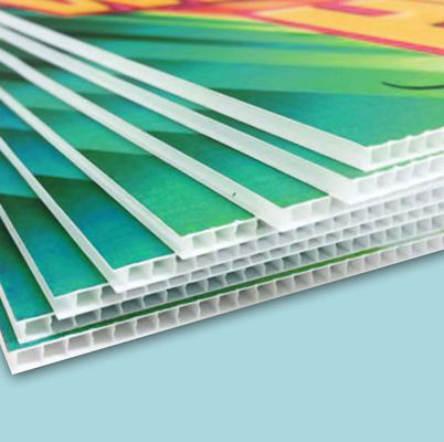 De druk 3mm Corflute Affiche van Tekenscorflute voor Openbare ruimten