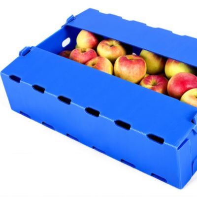 Blauwe van de het Fruit Verpakkende Doos van Coroplast Apple Bestand het Polypropyleenvochtigheid