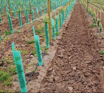 De golfcorflute-Boom bewaakt 3mm de Wachten van de Polypropyleenboom