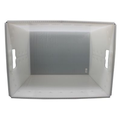 De omzet plooide Posttote white USPS die Plastic Totalisators verschepen