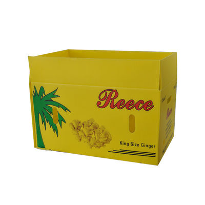Verpakkende Doos 4mm van het aspergefruit 3mm Opnieuw te gebruiken Golf Plastic Dozen