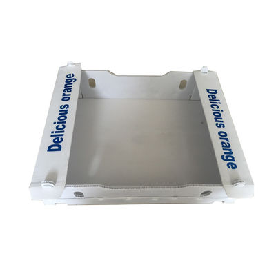Pp plooiden Plastic Aangepast Dozen Rekupereerbare Opvouwbare Anticorrosieve Duurzaam