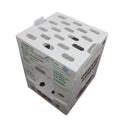 Aangepaste maat gekleurde Coroplast opbergdozen recyclebaar