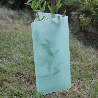 3 mm groene plastic Corflute Tree Guards UV-beschermer waterdicht