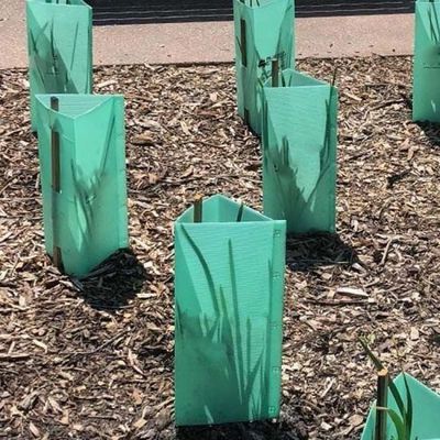 3 mm groene plastic Corflute Tree Guards UV-beschermer waterdicht