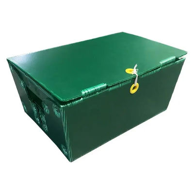 Polypropyleen Postpost Stijf Tote Corrugated Plastic Boxes Bins Aangepast met Handvatten