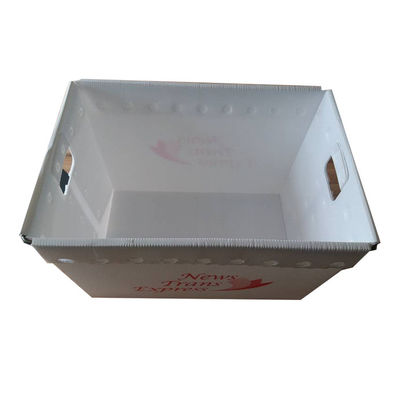 De PostdiePost Tote Hollow Boxes Bins Rigid van pp met Handvatten wordt aangepast
