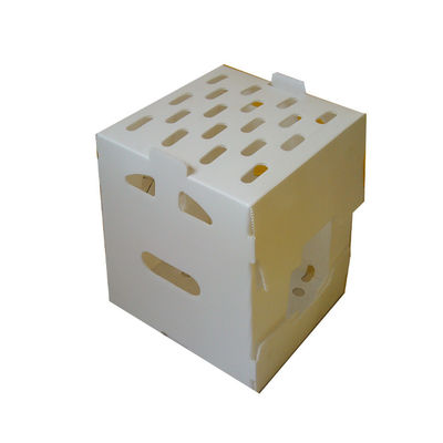 Recycled PP gegolfde plastic doos Fruit Packaging Box Customized
