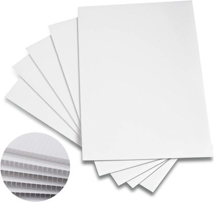 PP gegolfde plastic plaat Corflute board vouwbaar lichtgewicht aangepast Duurzaam