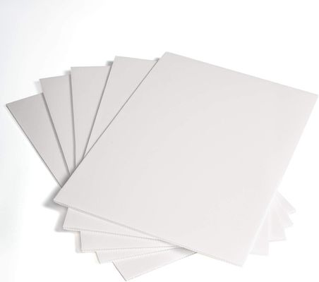 PP gegolfde plastic plaat Corflute board vouwbaar lichtgewicht aangepast Duurzaam