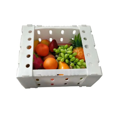 PP-gegolfde plastic doos Coroplast fruitverpakkingsdoos op maat opvouwbaar