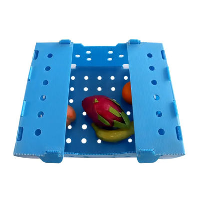 PP-gegolfde plastic doos Corflute fruitverpakkingsdoos op maat Recyclebaar