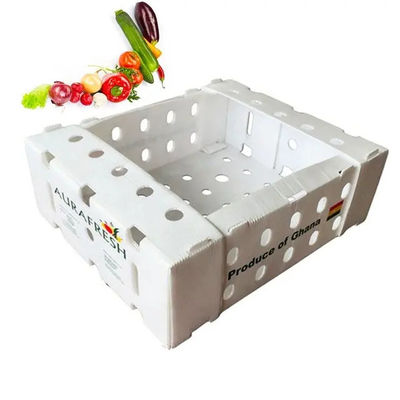 PP-gegolfde plastic doos Corflute fruitverpakkingsdoos op maat Recyclebaar