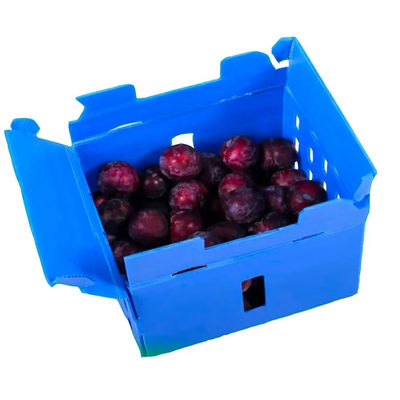 PP-gegolfde plastic doos Coroplast fruitverpakkingsdoos Op maat gemaakte, herbruikbare, opvouwbare