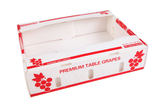 PP-gegolfde plastic doos Coroplast fruitverpakkingsdoos Op maat gemaakte, herbruikbare, opvouwbare