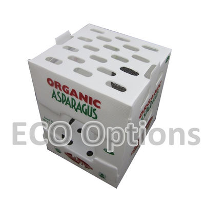 Recycling PP golfvormige plastic doos Coroplast verpakkingsdoos Op maat gemaakte opvouwbare ECO