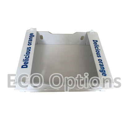 Recycling PP golfvormige plastic doos Coroplast verpakkingsdoos Op maat gemaakte opvouwbare ECO