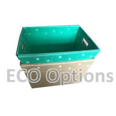 Recycling PP golfvormige plastic doos Coroplast verpakkingsdoos Op maat gemaakte opvouwbare ECO