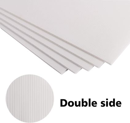 Ontketen het potentieel van PP Coroplast-platen in uw verpakkingen en reclame